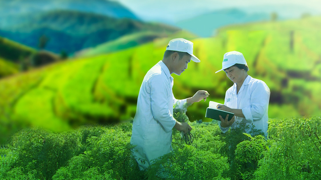 Traphaco định hướng đầu tư vào tân dược, mục tiêu tăng trưởng 20%/năm